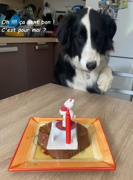 -3328615226467288705bb