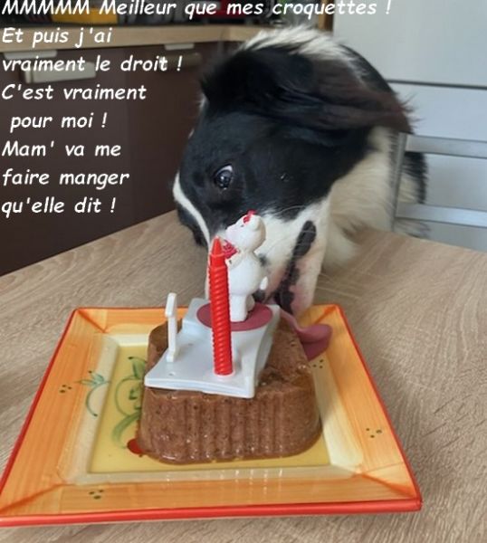 -8320011000436217439bb