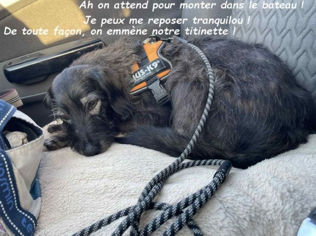 04027137-03ac-4a08-b825-96db6cd7d293bb