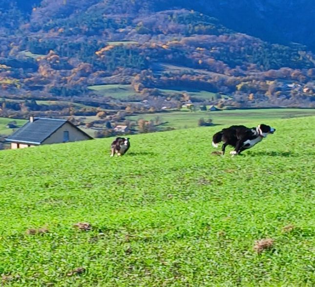 04112025_2507027842329925927