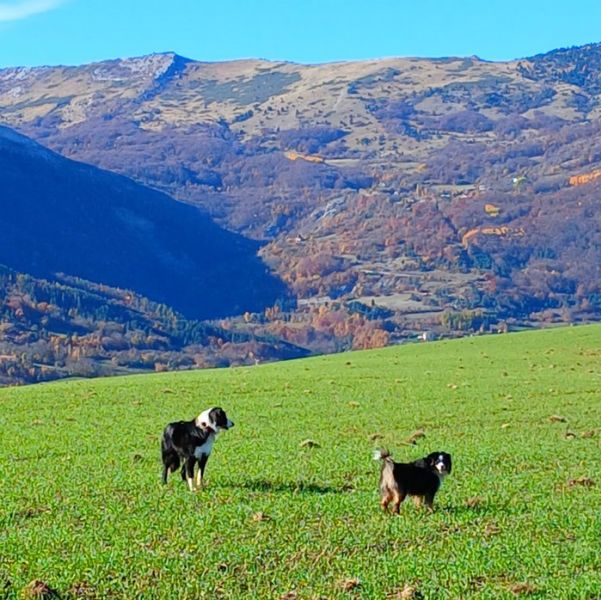 04112025_285715255669585508