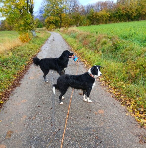 04112025_6843878318935438603