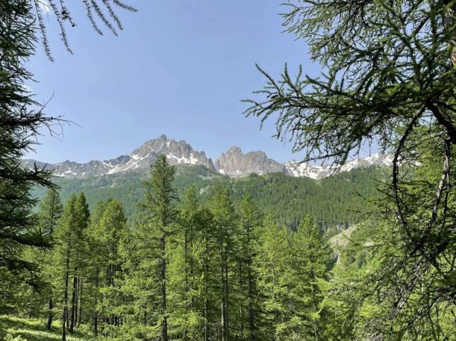 04_449511697_2619188771587482_3502964070233882680_n