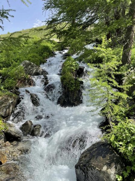 09_449686933_2619189034920789_7758876443930233931_n