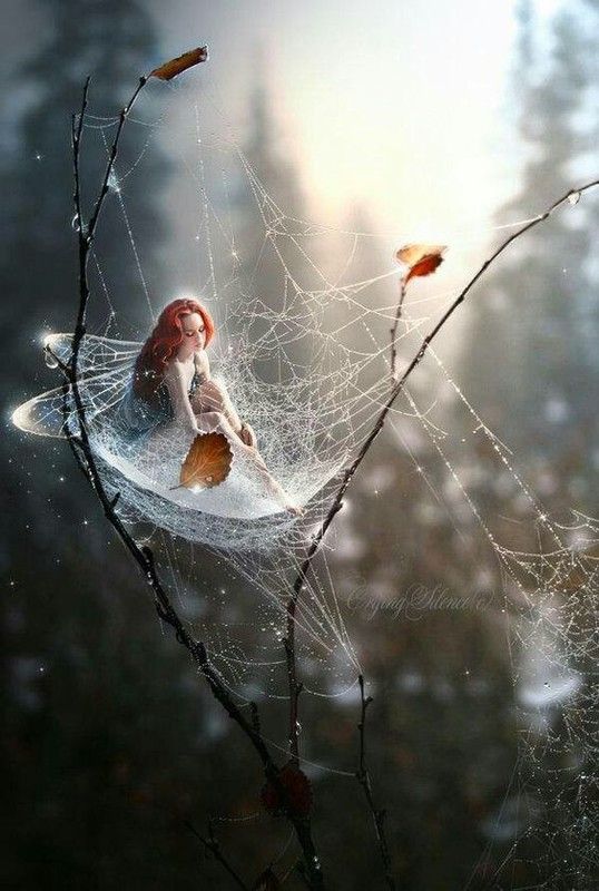   Pour les femmes, Nos âmes sœurs     Hamoudi 