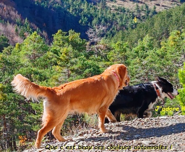   AVEC SUZIE ET WINNIE A LA FORET DOMANIALE DE CEÜZE 02