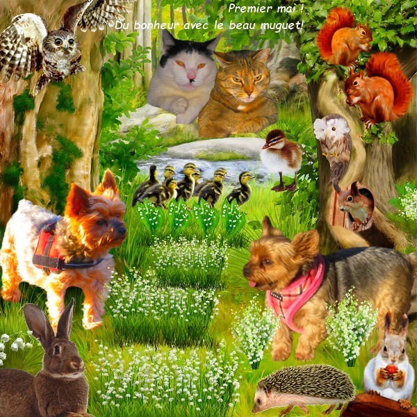 Du bonheur pour vous en ce premier mai 2021