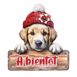 0vN_pUjfSIrJk_zg0jRmUuyZEqM