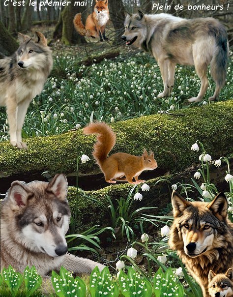 Mes créations de Mai avec surprises 03