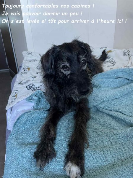 148deb0f-3531-45a7-930f-2831d0967474bb