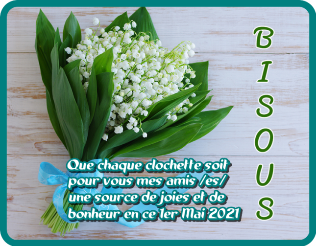 176308930_500425984467947_2696915098634825530_n