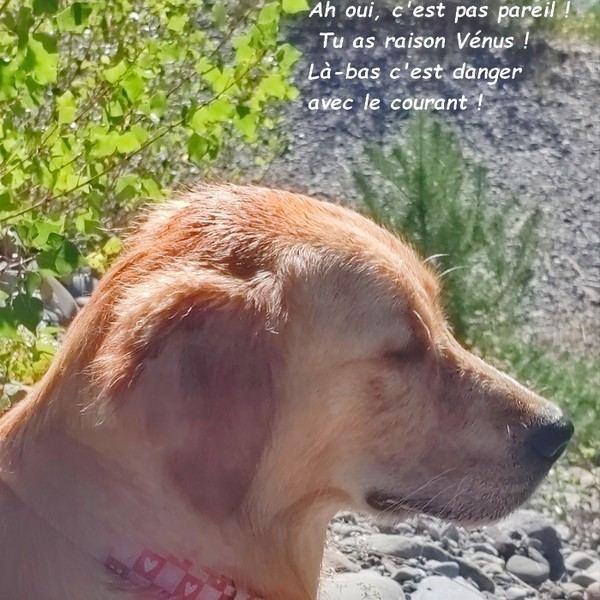   UNE MATINEE DE REVE AVEC WINNIE, TAÎKO ET SUZY 04