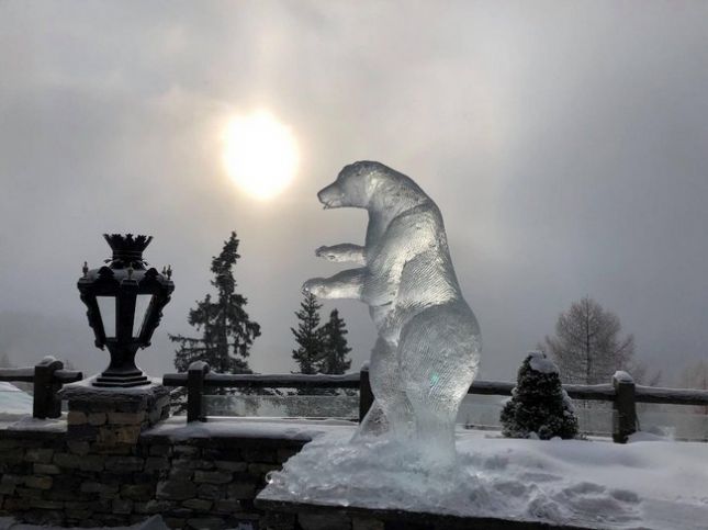 25243-190123192810712-0