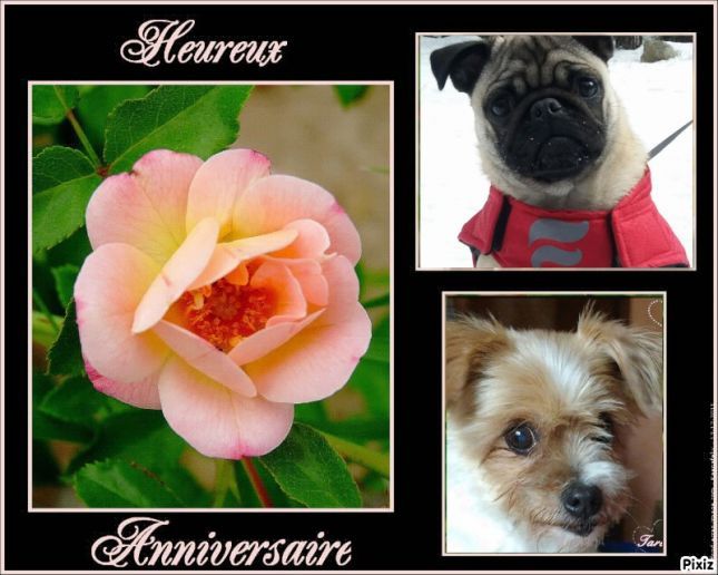 Image du Blog brigitisis.centerblog.net