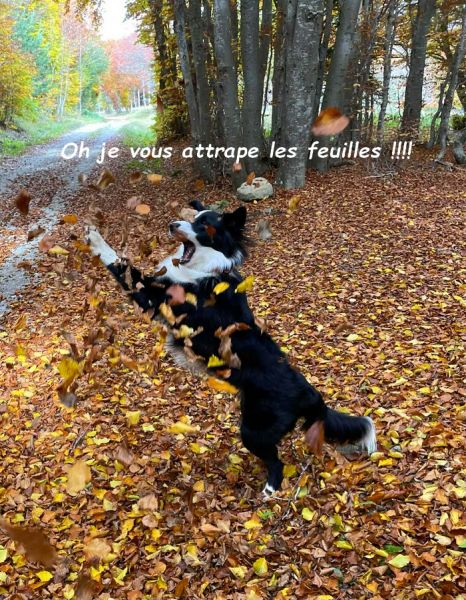 27482222-66e5-4256-a1a0-fe2216fc8917b