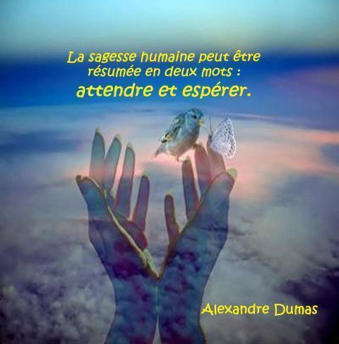 Papillon   Vidéo de Léo et Célina