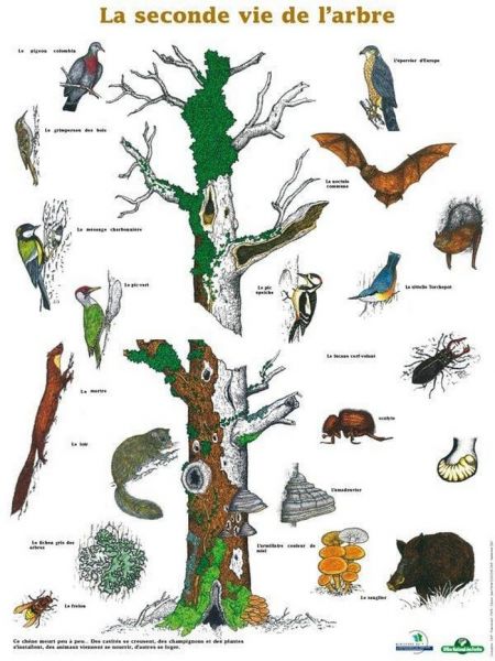 369267976_857074212452440_1066044171189855852_n