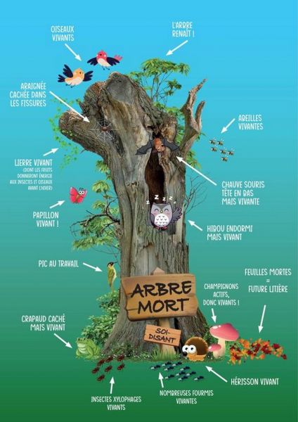 369606231_857072122452649_6628345041411272046_n