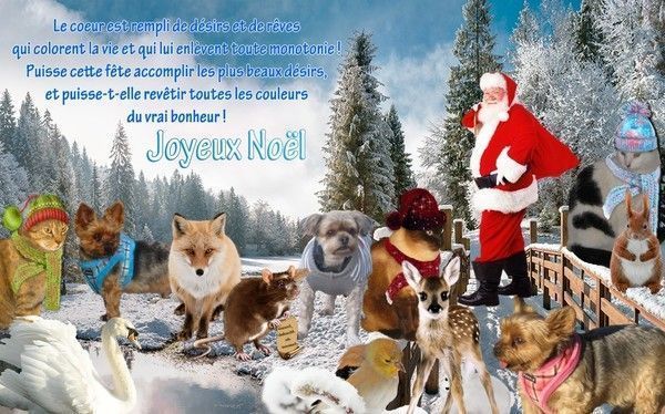 Joyeux noël : Pour vous...