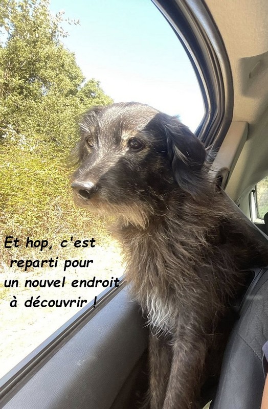 GAELLE ET WINNIE EN CORSE SUITE :  14