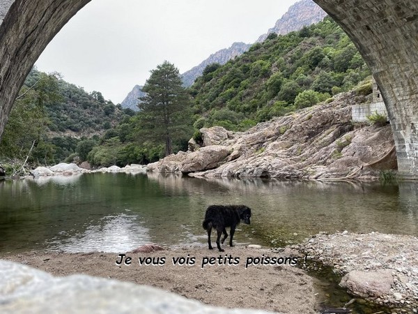  GAELLE ET WINNIE EN CORSE SUITE : 18