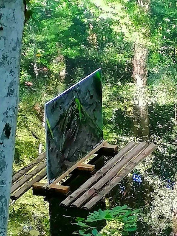 EXPOSITION LAC DE CHARANCE ETE 2022 06