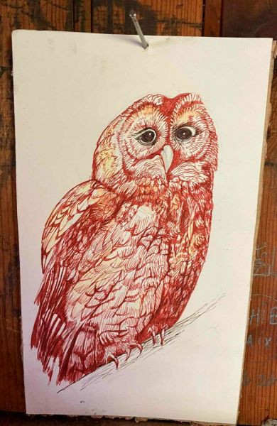 42675c2e-71ec-46fa-9744-891960e40c69b