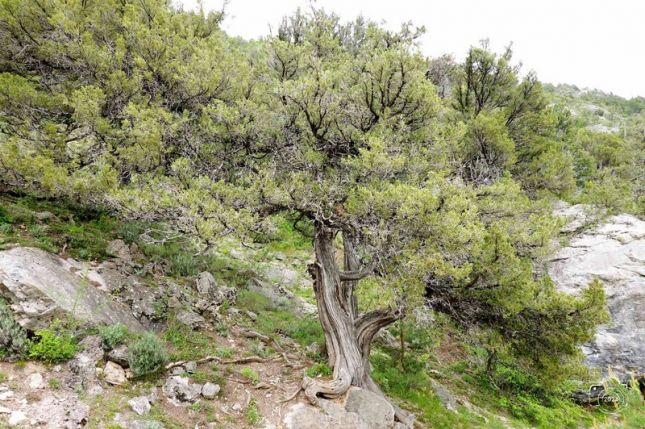 448772349_7568870583162463_3778649195316523002_n