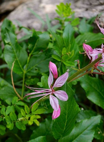 448772743_7568855796497275_1118041929026316976_n