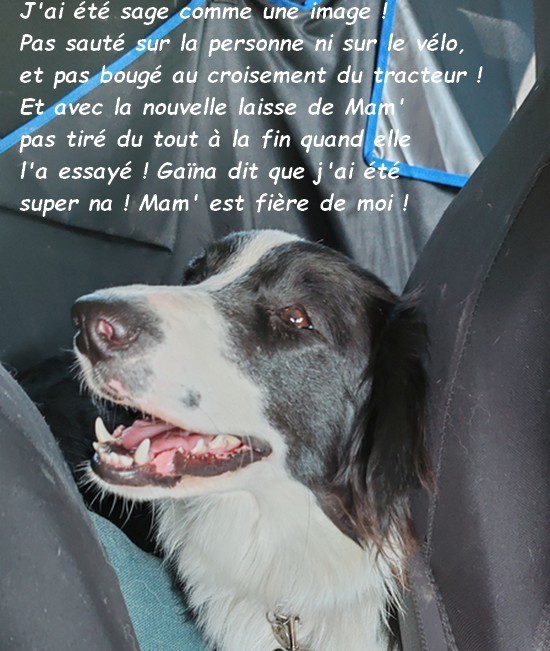 VENUS : MON PREMIER ANNIVERSAIRE 02