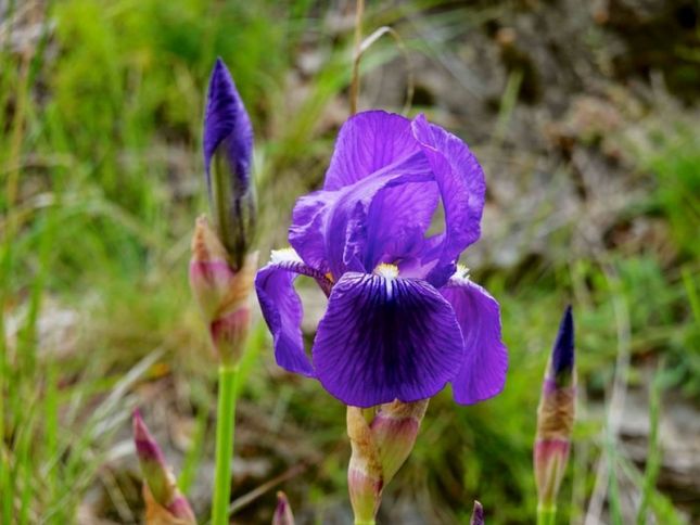 448813353_7568872006495654_1971914813541490005_n