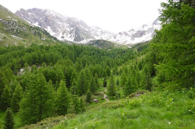 448831698_7585567888159399_6577698704496159980_n