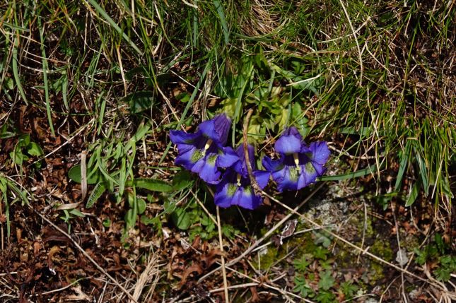 448847968_7585568108159377_5388747074251094933_n