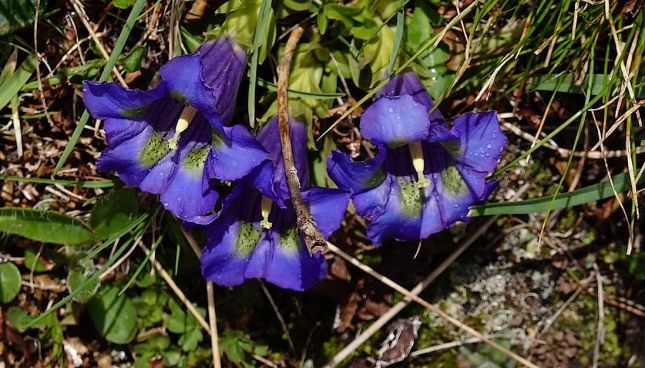 448847968_7585568108159377_5388747074251094933_nbb