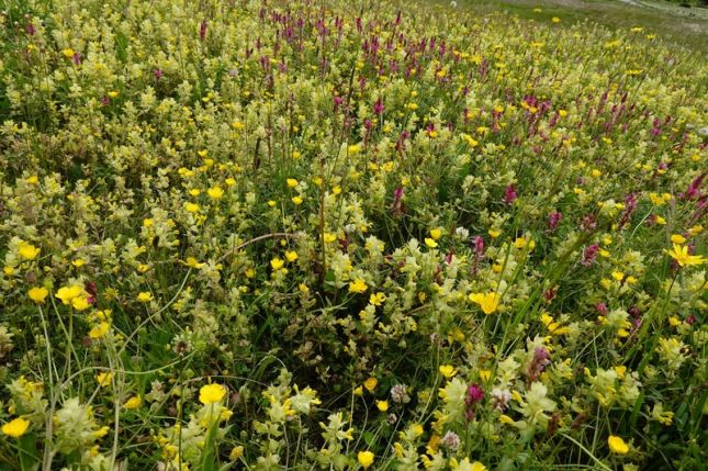 448859053_7571542196228635_1449167050912033150_n05