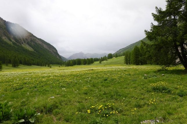 448859538_7571538182895703_2833791587939470971_n01