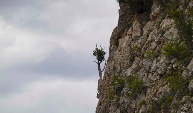 448884482_7568882093161312_8920730811214627920_n