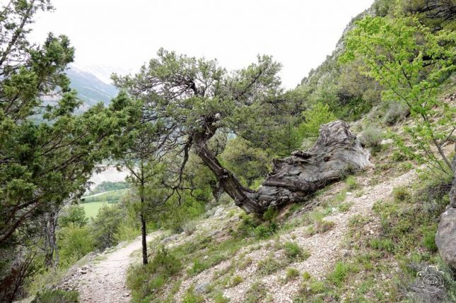 448891817_7568870246495830_3088669719095354248_n