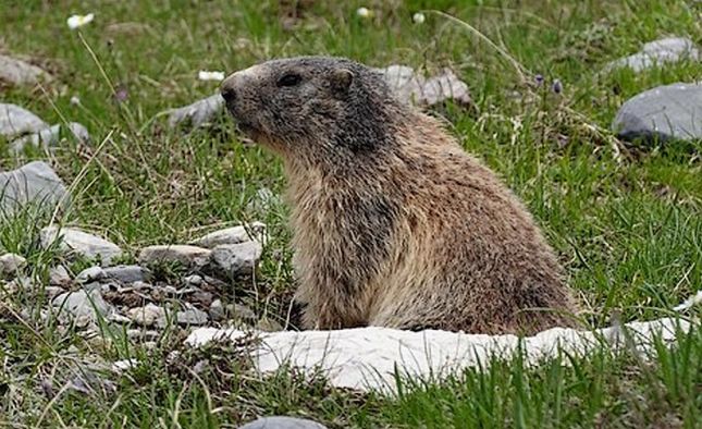 449015553_7585568288159359_2302605317575508777_nbb