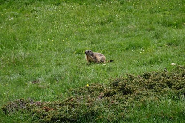 449120659_7581206098595578_2901973326018566086_n