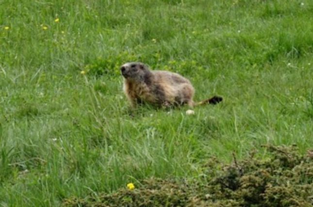 449120659_7581206098595578_2901973326018566086_nb