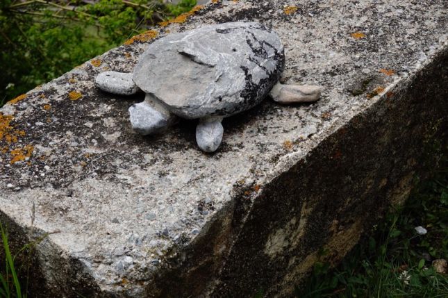 449134443_7581205761928945_8874567472786880756_n