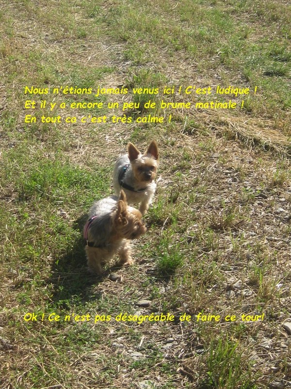 NOTRE SORTIE DU JOUR ! 02