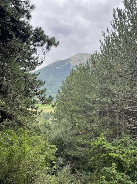 455244866_2655802674592758_3031147072748025890_n