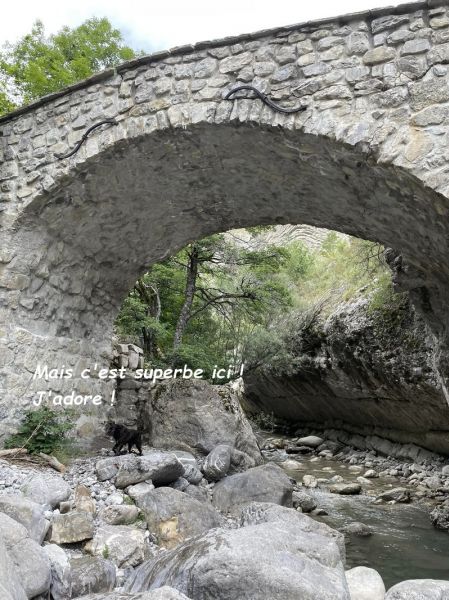 455693808_2655802554592770_6266130540912155292_nbb