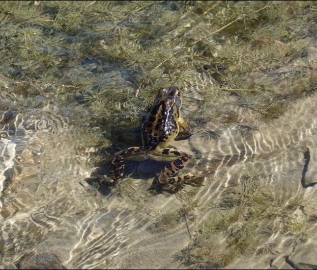 456484906_7916702415045943_2163837284607199365_n