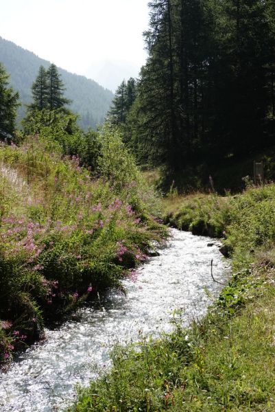 456514992_7909946412388210_4537211819113392634_n