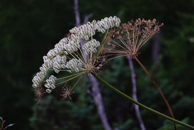 456695900_7916716981711153_1315125547751731422_n