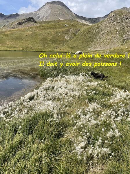 457518485_2668033096703049_2919006340148517699_nbb