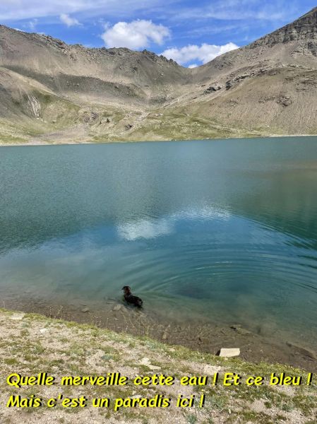 457735926_2668035783369447_6979265296275675375_nbb